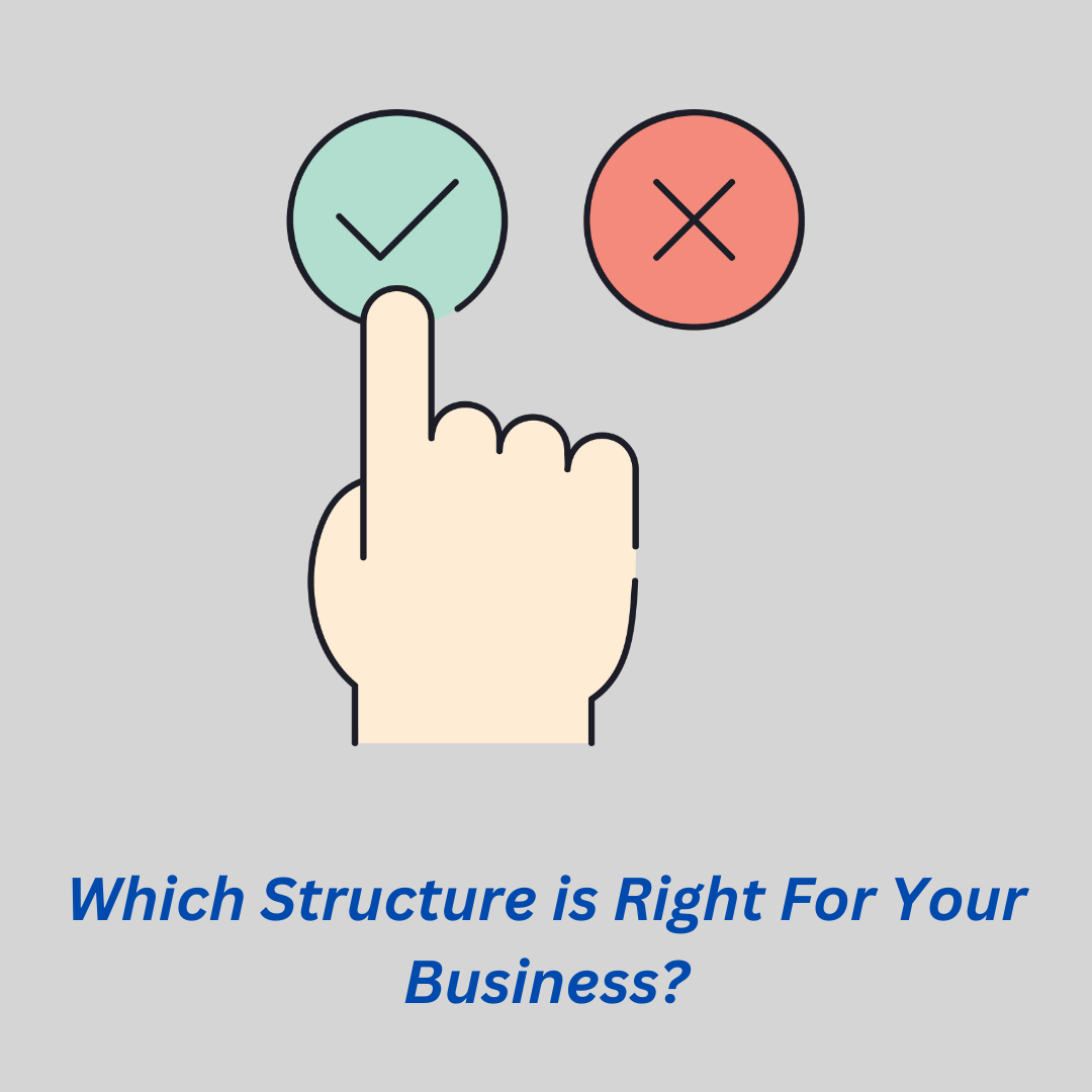 Which business structure makes sense for your needs?